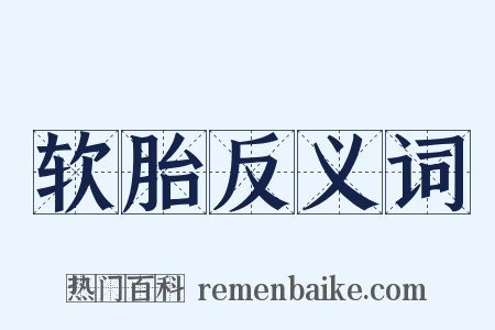 软胎反义词是什么意思的图片